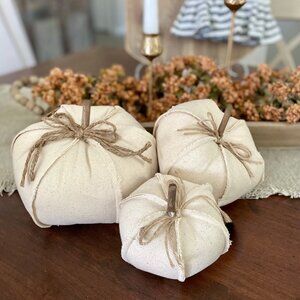 Set/3 Canvas Stuffed Pumpkins